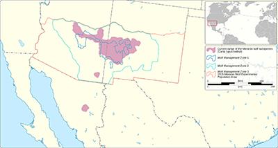 Range Map for Mexican Gray Wolf