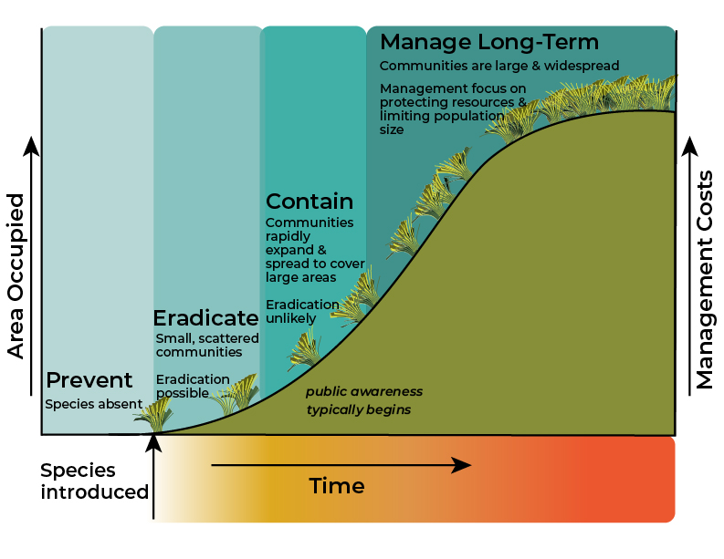 Figure 1. The invasion curve. Adapted from Invasive Plants and Animals Policy Framework, State of Victoria, Department of Primary Industries, 2010.