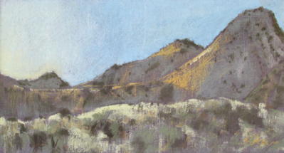 Artist example